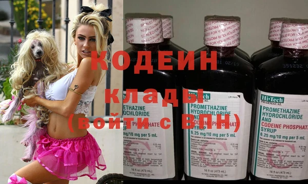 молекула духа Липки