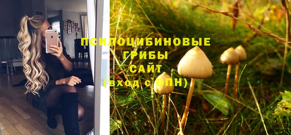 эйфоретик Верхний Тагил