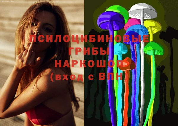 apvp Бугульма