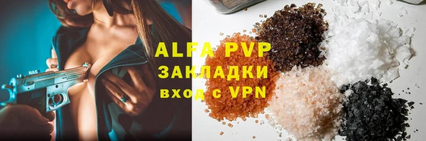 твердый Бородино